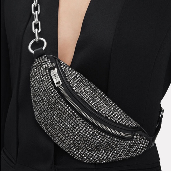Alexander Wang Attica Mini Fanny - Picture 2 of 8